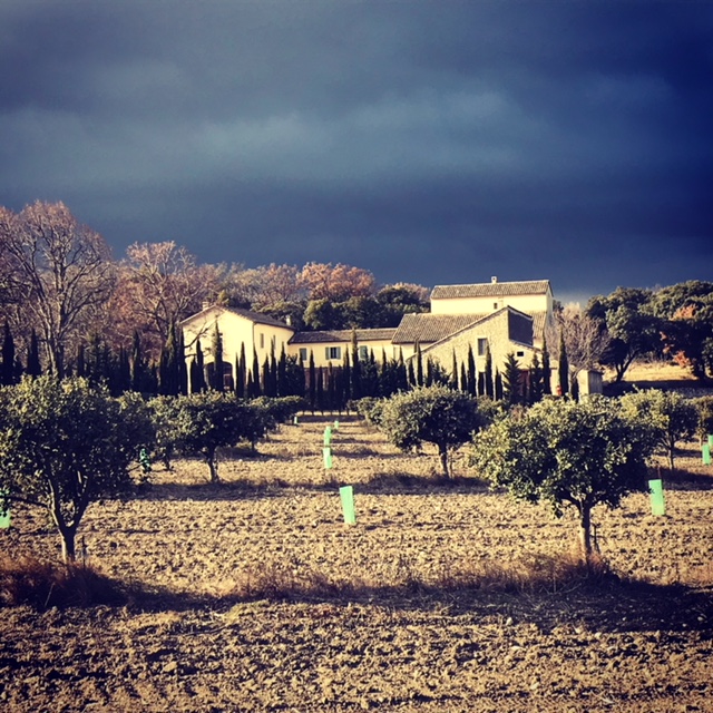 vinaigre_noir_truffe_france_drome